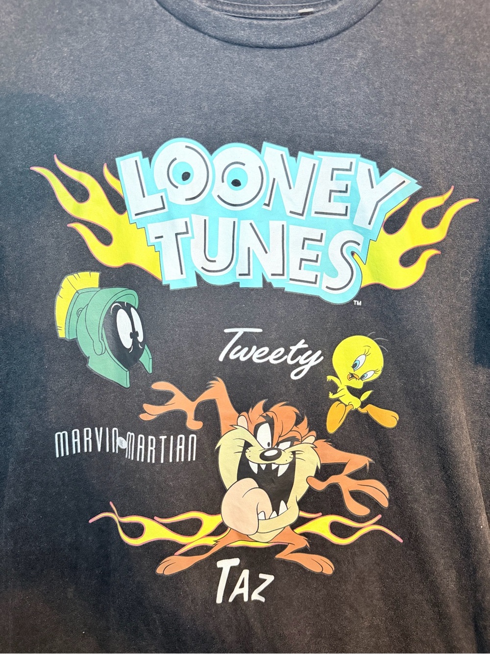Warner Bros. Adult Black Graphic Tee with Taz & Tweety size Small - Picture 2 of 6
